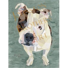 French Bulldog French Bulldog